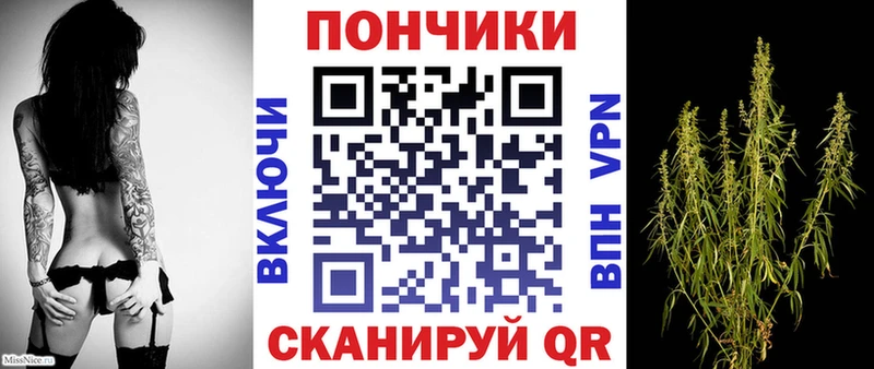Канабис марихуана  Гдов 